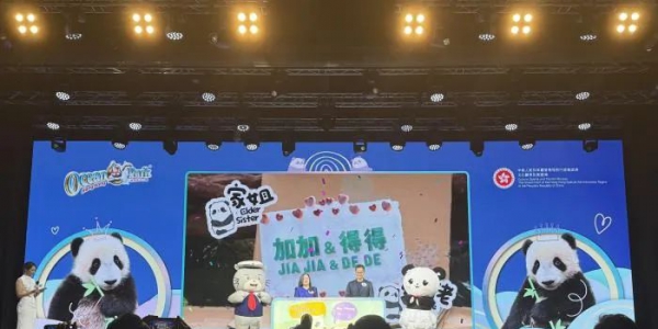 定了！香港顶流“加加”“得得”上线！