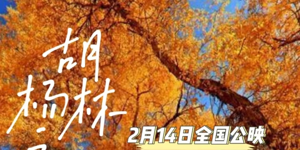 用生命最后一程，抵达爱情永恒之境——《胡杨林之恋》