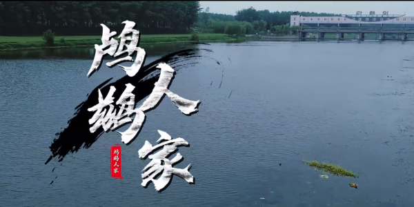 《鸬鹚人家》水乡非遗六十年